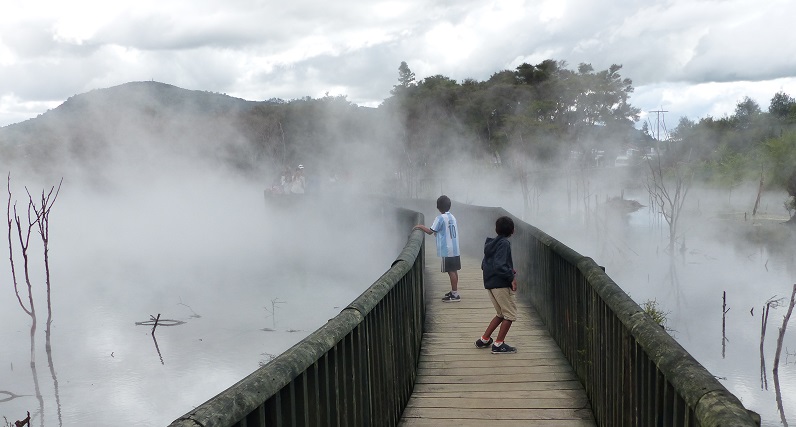 Kuirau Park in Rotorua